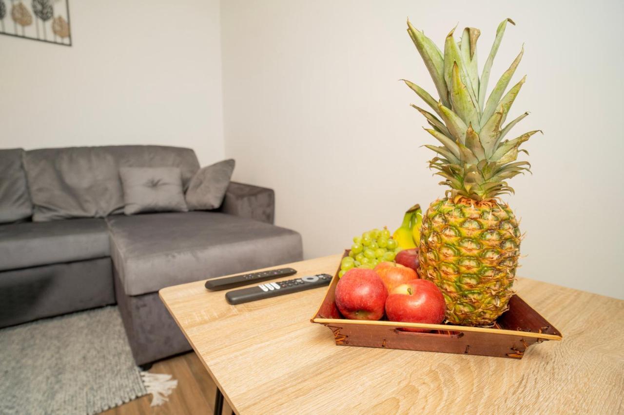 Downhill Apartment On The Groundfloor كاوناس المظهر الخارجي الصورة